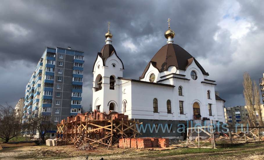 На улице Черокманова в Ельце появился живодёр!