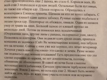 На улице Черокманова в Ельце появился живодёр!