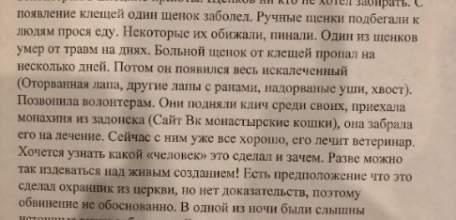 На улице Черокманова в Ельце появился живодёр!