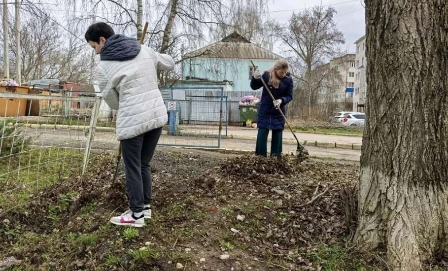 Весна &mdash; не только время пробуждения природы, но и пора, когда можно помочь привести в порядок любимый город