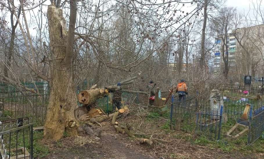 На старом городском кладбище продолжается уборка