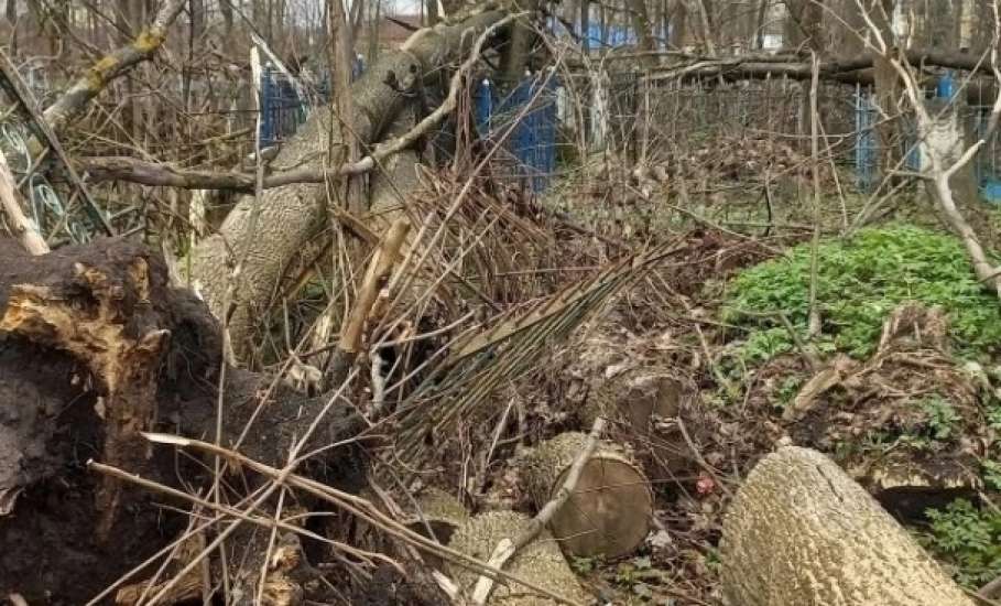 На старом городском кладбище продолжается уборка