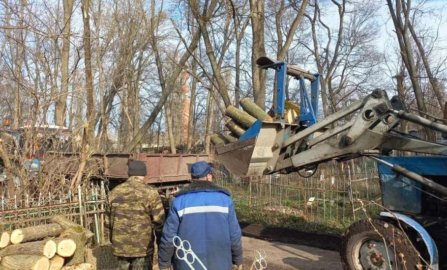 На старом городском кладбище продолжается уборка