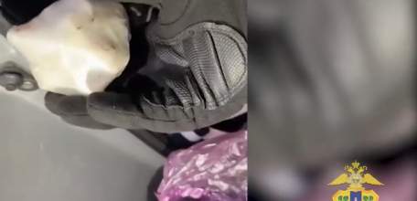 У уроженцев ближнего зарубежья в автомобиле на трассе в Становлянском районе нашли наркотики!