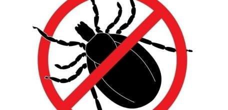 Внимание! Завтра обработка от клещей Петровского и Городского парков!