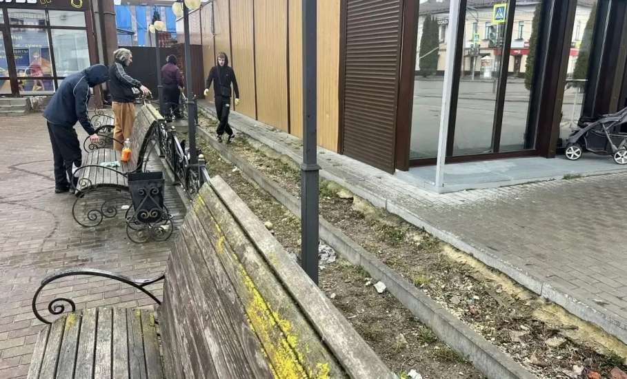 Жители Ельца активно включаются в весенние субботники!