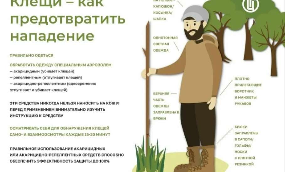 Ситуация по клещам опасная в Липецкой области!