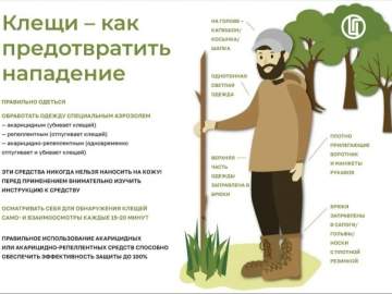 Ситуация по клещам опасная в Липецкой области!