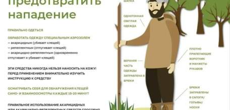 Ситуация по клещам опасная в Липецкой области!