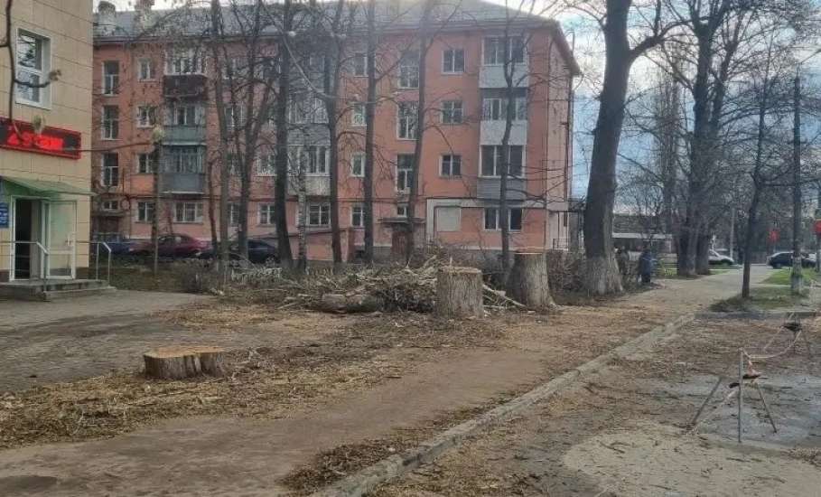 В Ельце спилили старые деревья по улице Орджоникидзе
