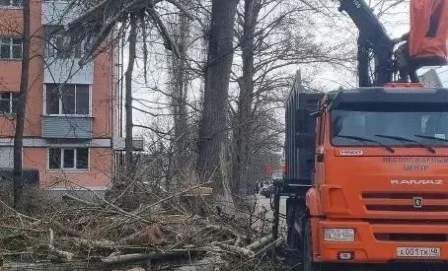 В Ельце спилили старые деревья по улице Орджоникидзе