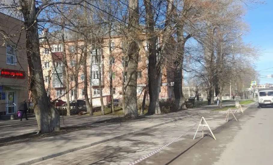 В Ельце спилили старые деревья по улице Орджоникидзе