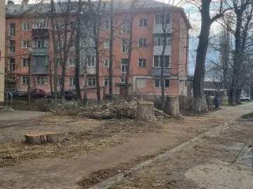 В Ельце спилили старые деревья по улице Орджоникидзе