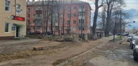 В Ельце спилили старые деревья по улице Орджоникидзе