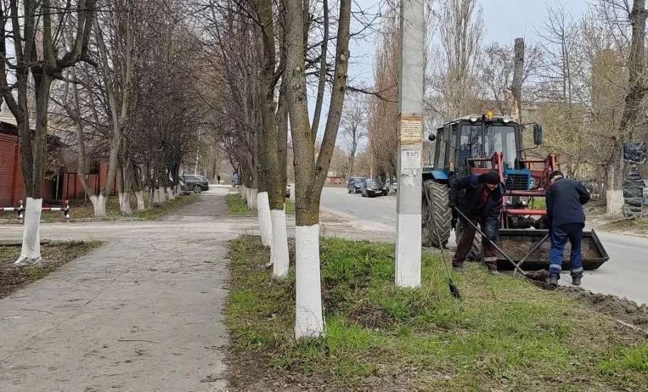 В городе начали белить деревья