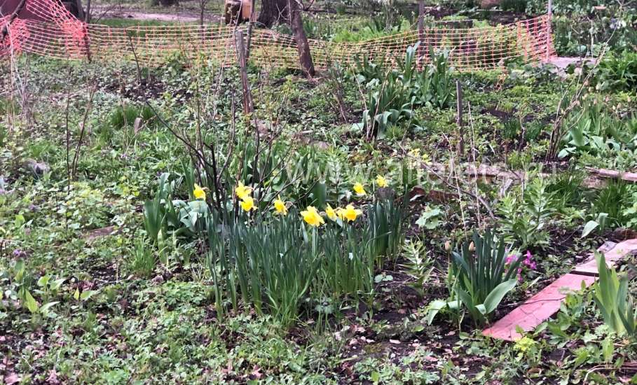 На территории Липецкой области вводится режим воздушной опасности!