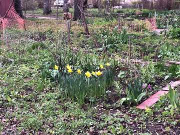 На территории Липецкой области вводится режим воздушной опасности!