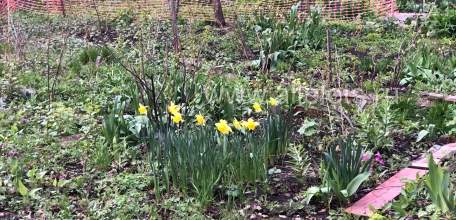На территории Липецкой области вводится режим воздушной опасности!