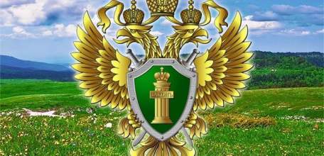 В адрес глав 16 муниципальных образований Липецкой области природоохранный прокурор внес представления об устранении нарушений