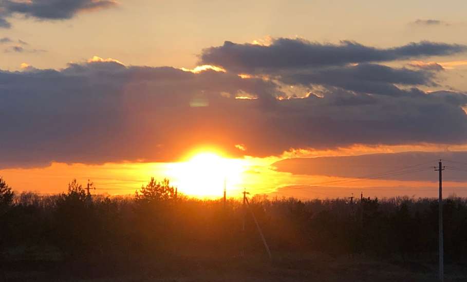 Снова завыла сирена во второй раз в Ельце!