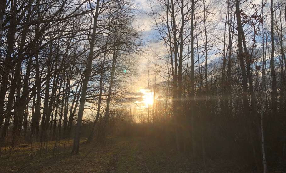 Сегодня в Ельце ожидается сильный ветер, дождь и снег!