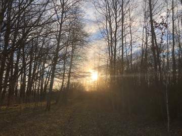 Сегодня в Ельце ожидается сильный ветер, дождь и снег!