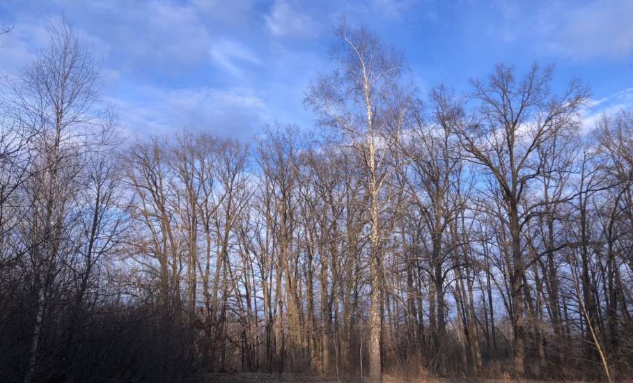 В Липецкой области полторы тысячи детей не привиты ни от каких заболеваний