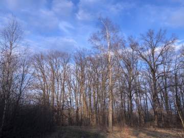 В Липецкой области полторы тысячи детей не привиты ни от каких заболеваний