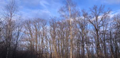 В Липецкой области полторы тысячи детей не привиты ни от каких заболеваний