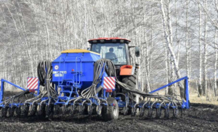 Подсолнечник и яровой рапс начали сеять в Липецкой области