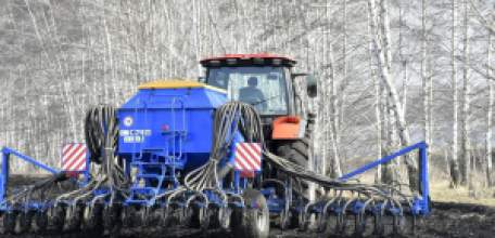 Подсолнечник и яровой рапс начали сеять в Липецкой области