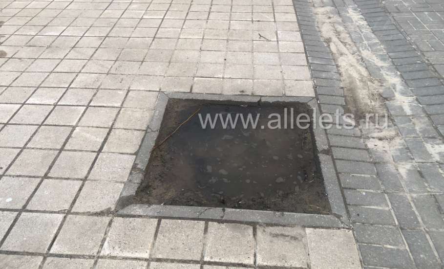 Туристический город&hellip; С зияющими пустотами от деревьев в самом центре города!