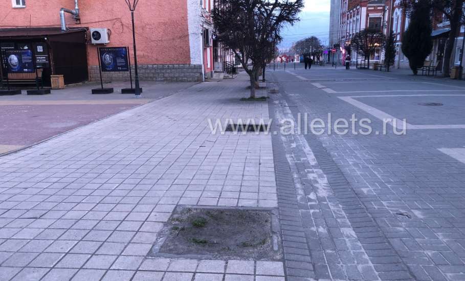 Туристический город&hellip; С зияющими пустотами от деревьев в самом центре города!