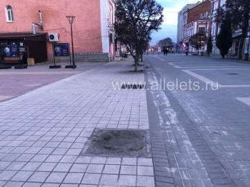 Туристический город&hellip; С зияющими пустотами от деревьев в самом центре города!