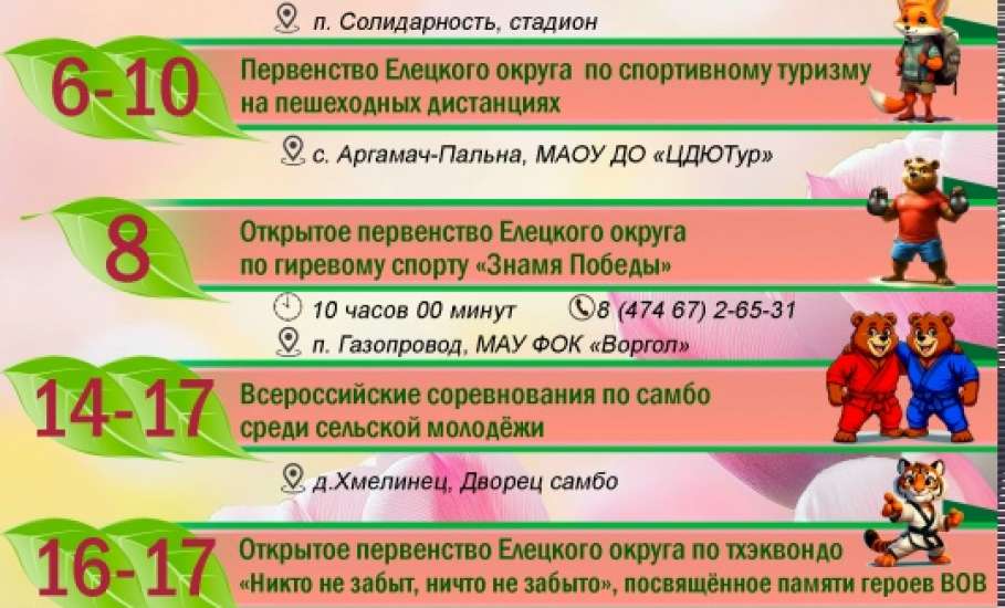 Календарь спортивных мероприятий Елецкого муниципального округа на май 2026 года
