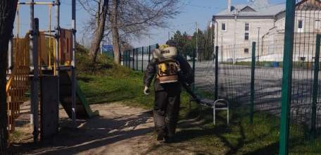 Сегодня в Ельце на лыжной базе уничтожали клещей