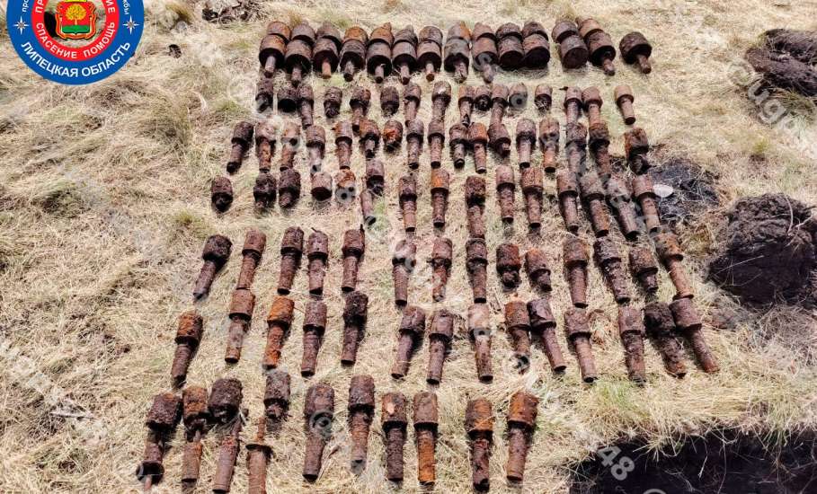 Вчера в Липецкой области уничтожили 113 гранат времён ВОВ!