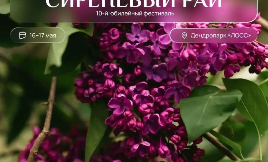 Отмена фестиваля &laquo;Сиреневый рай&raquo; в 2026 году!
