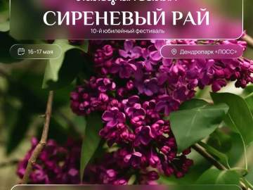 Отмена фестиваля &laquo;Сиреневый рай&raquo; в 2026 году!