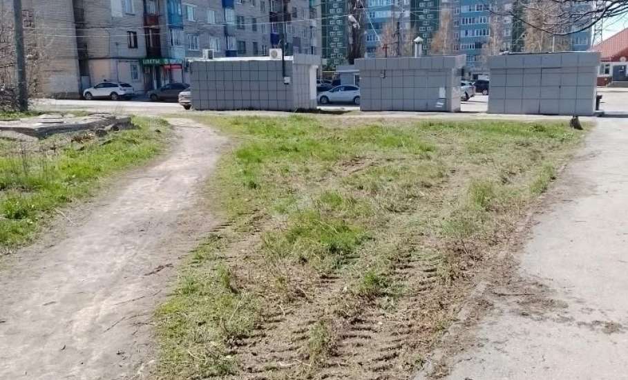 Наведение чистоты на улицах Ельца продолжается