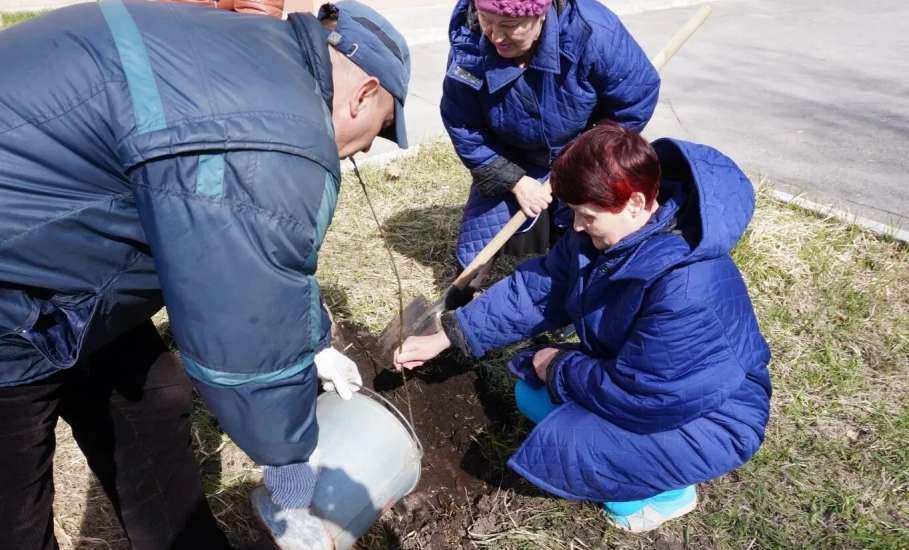 Коллектив ГУЗ "Елецкая городская детская больница" принял участие в благоустройстве и высадке саженцев рябины и сирени на "Аллее Памяти" на территории учреждения