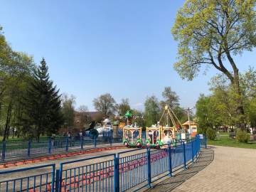 За упавшее на автомобиль дерево ответила администрация города Ельца!