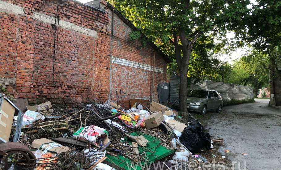 Откуда в Ельце появились крысы?!
