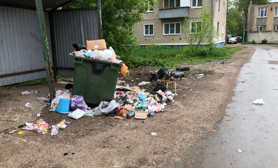 Полная антисанитария наблюдается сейчас в Ельце на площадках по сбору мусора