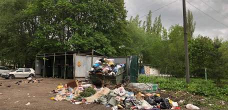 Полная антисанитария наблюдается сейчас в Ельце на площадках по сбору мусора