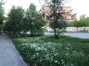 06:05 Отбой красного уровня &laquo;Угроза атаки БПЛА&raquo;