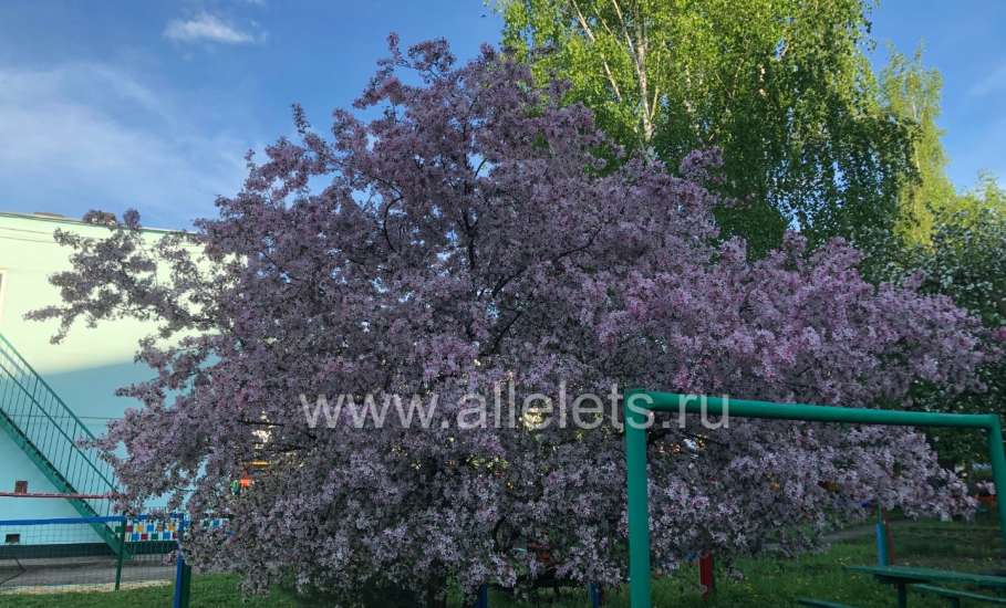 Отбой красного уровня &laquo;Угроза атаки БПЛА&raquo;
