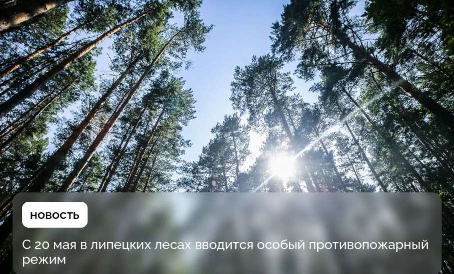 С 20 мая в лесах региона вводится особый противопожарный режим. Он будет действовать до 30 сентября