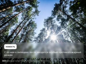 С 20 мая в лесах региона вводится особый противопожарный режим. Он будет действовать до 30 сентября