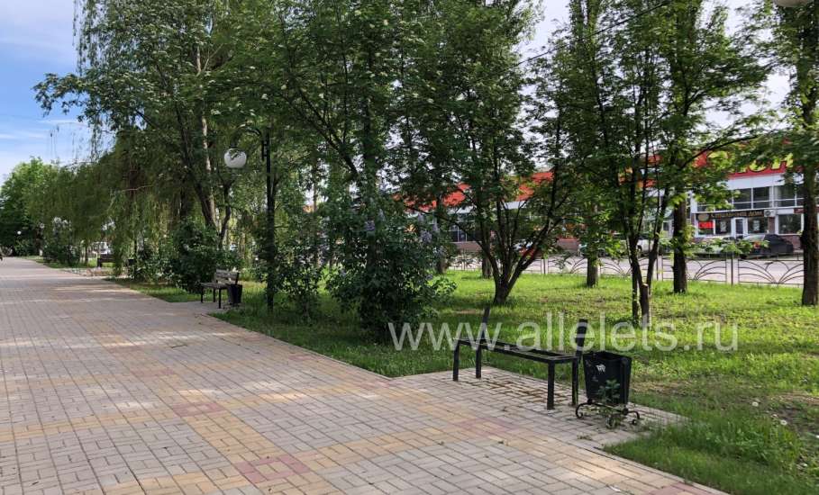 Сначала в сквере Харченко пришли в негодность лавки и плитка, а теперь исчезают целые скамейки!